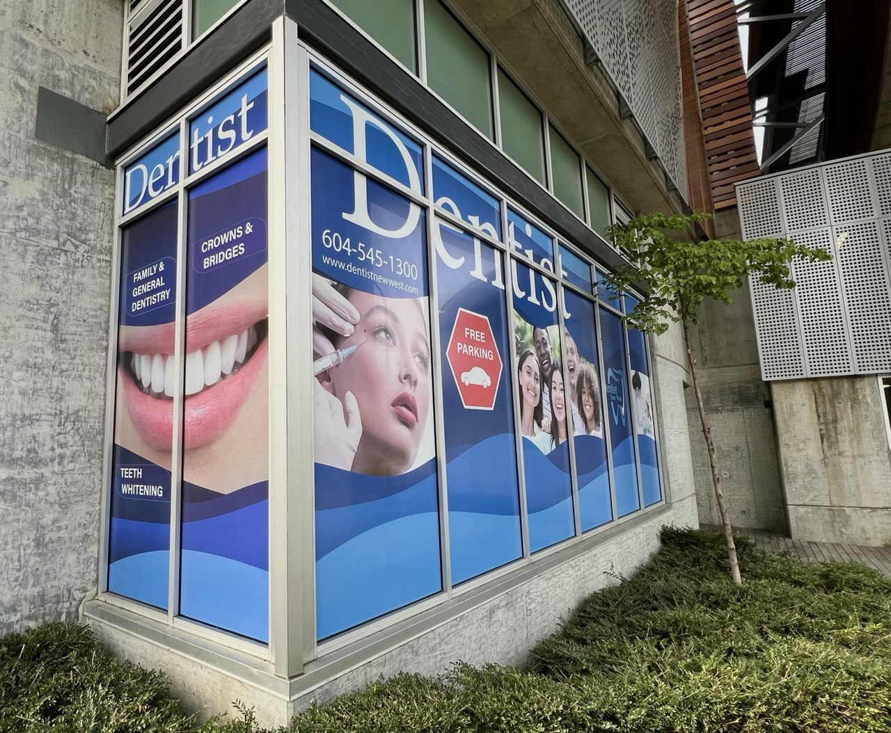 Perforated Window Graphics Installation for Storefront Branding